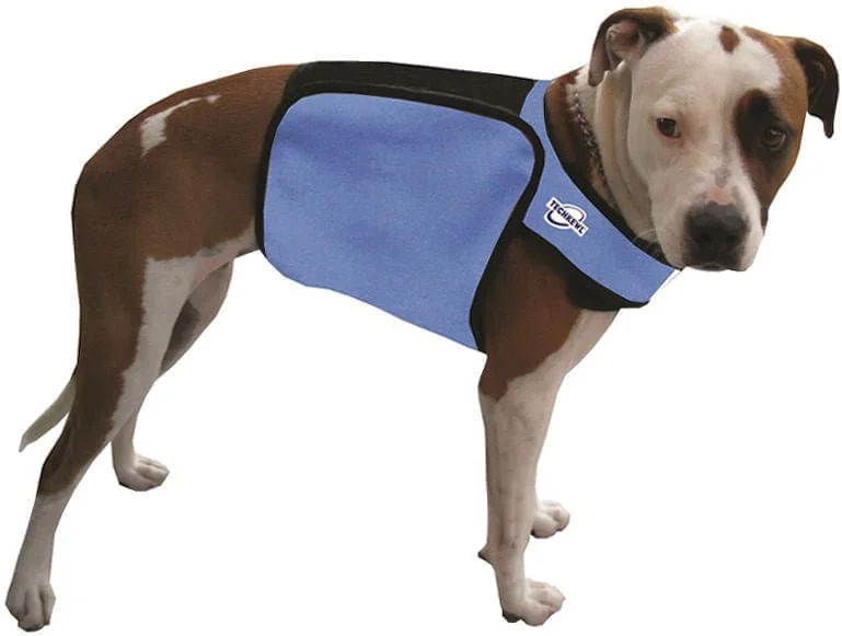 Canvas pet treat pouch-TechKewl Phase Change Cooling Dog Coat