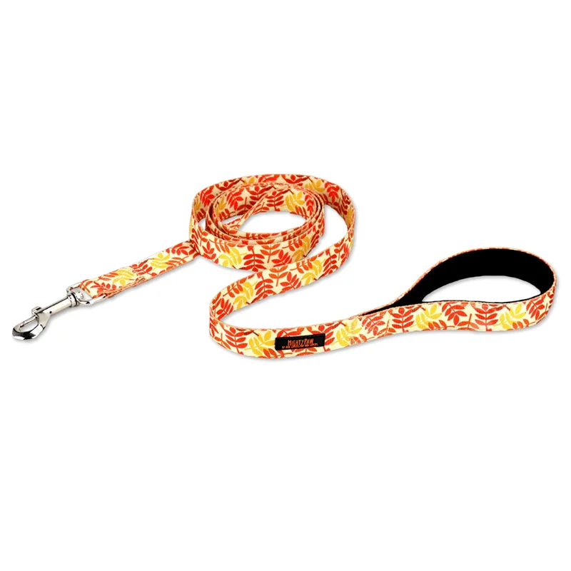 Natural puppy training chews-Mighty Paw Thanksgiving Festive Dog Leash