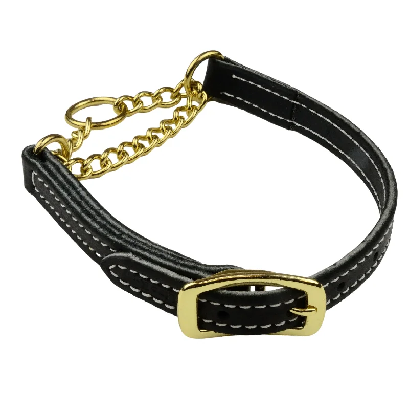 Raised puppy food tray-Ultra Leather Martingale Collar