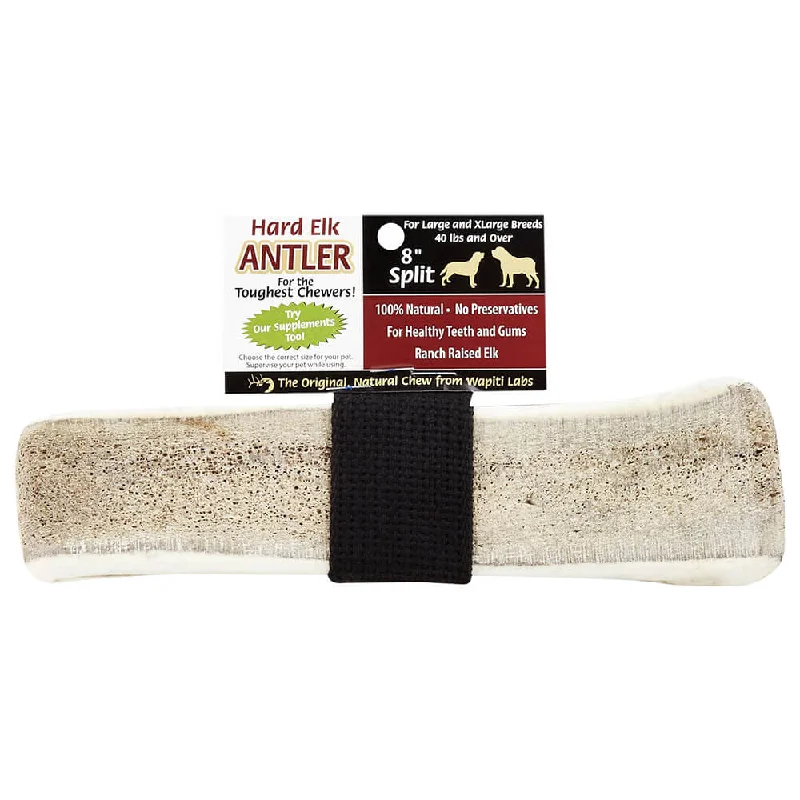 Raised puppy food tray-Wapiti Labs Elk Antler Dog Chews, 8", Split