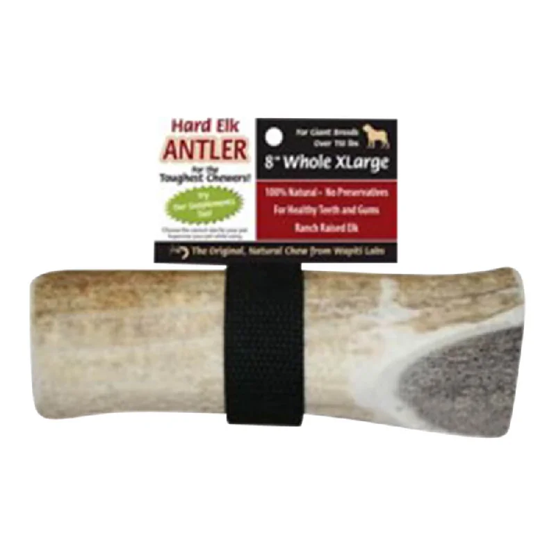 Recycled pet play set-Wapiti Labs Elk Antler Dog Chews, 8", XL Whole