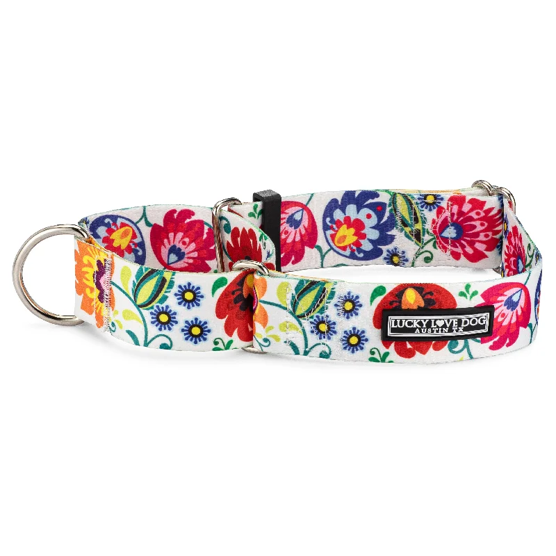 Long-lasting pet tie-out-WIDE Ladybird Martingale Collar Wholesale