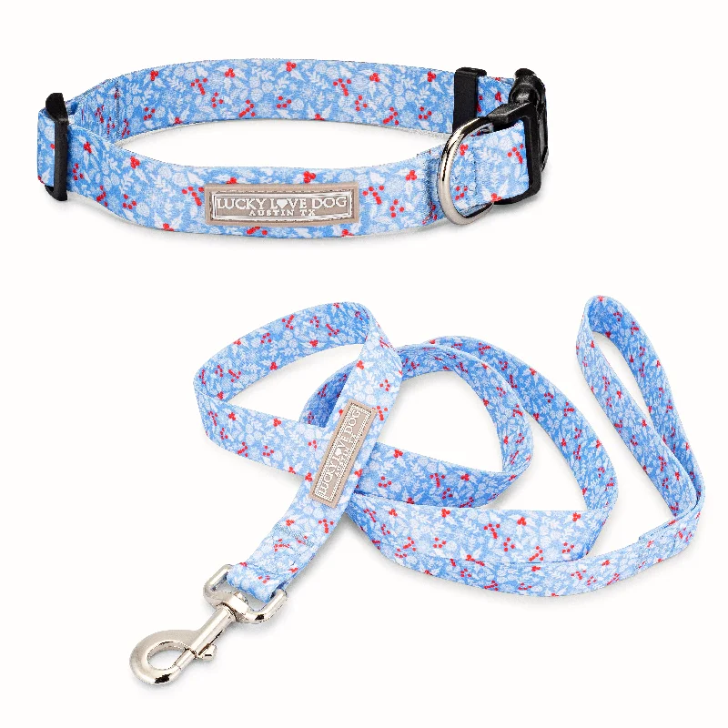 Odor-eliminating pet mist-Winter Blue Dog Collar and Leash Wholesale