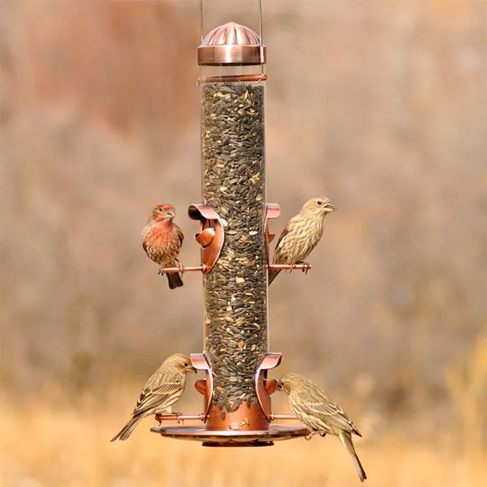 Tough rubber chew ring-Woodstream Perky-Pet® Copper Finish 2-In-1 Wild Bird Feeder