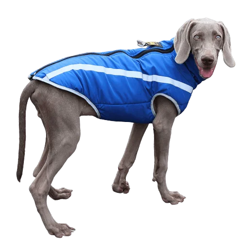 Padded pet buggy liner-A Plus A Pets Luxurious Rain & Wind Protector Jacket for Dogs (Blue)