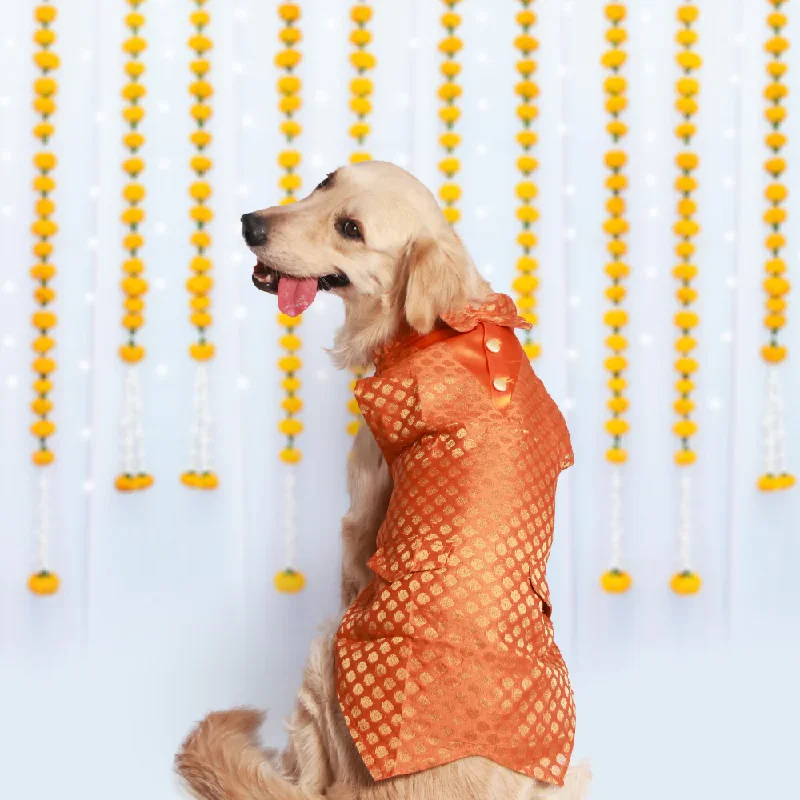 Glow dog walking leash-Pet Set Go Kurta with Bowtie  for Dogs (Orange)