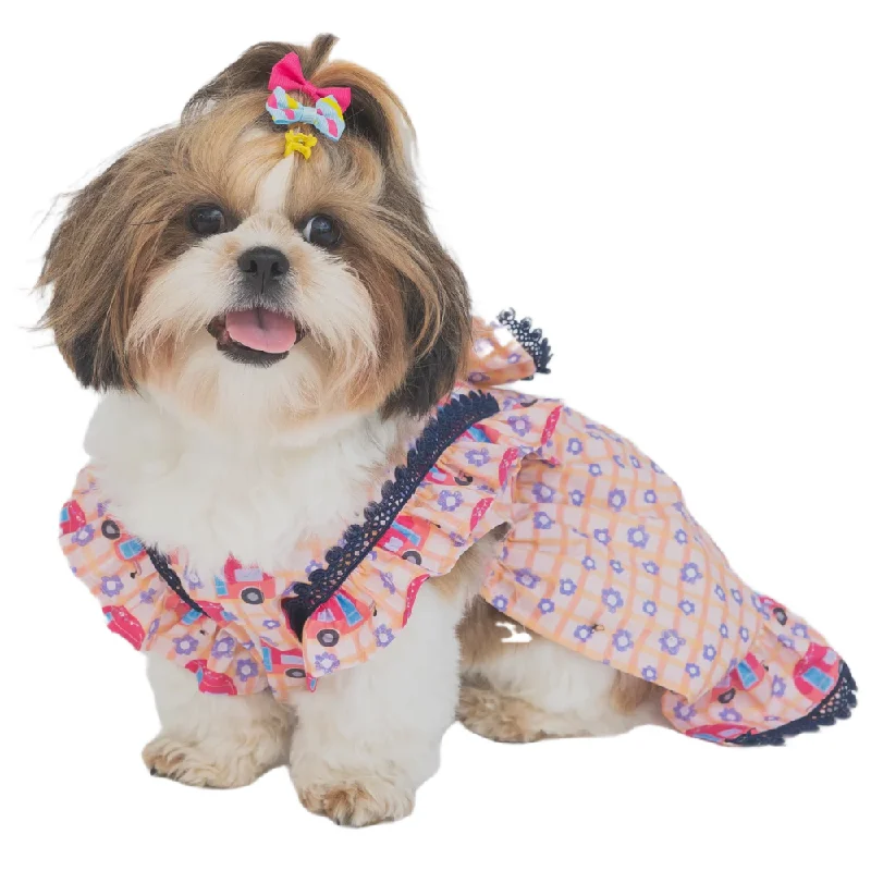 Fine-mesh pet flea comb-The Papaw Cartel Caravan Plaid Frilled Dress With A Bow for Dogs (Light Pink/Orange)