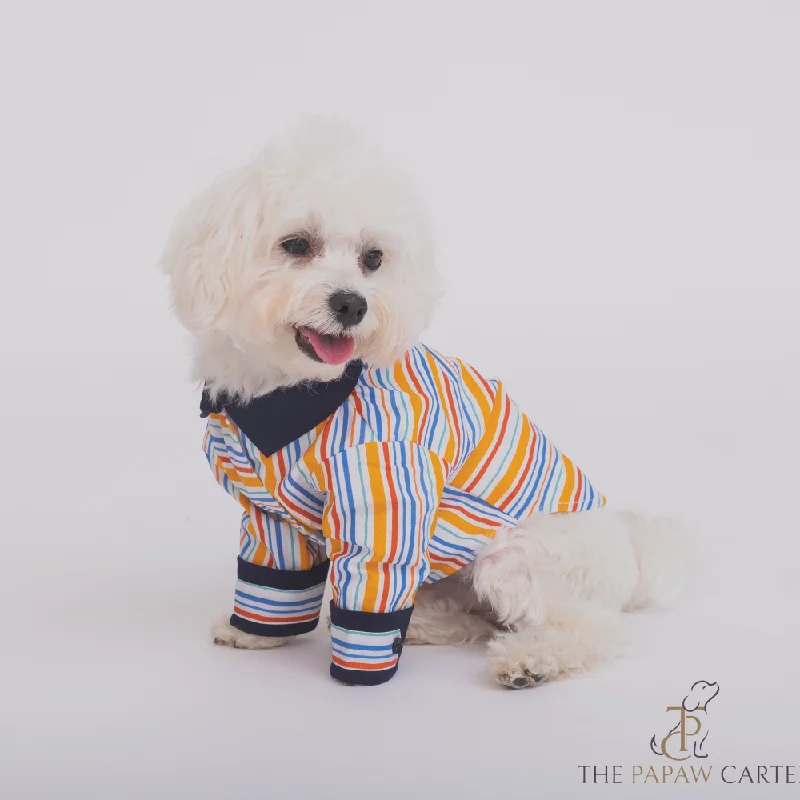 Plush puppy tug bone-The Papaw Cartel Stripe Shirt for Dogs (Multicolor)